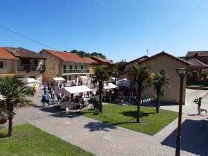 Mercado Ecológico y Artesano de Raíces Viejo